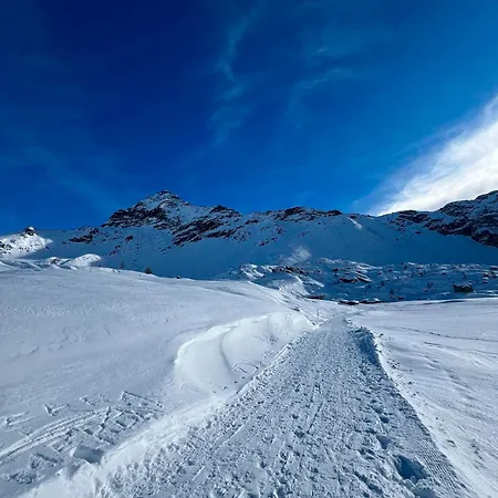 Il Nido Del Colibri Dom wakacyjny Stazzona